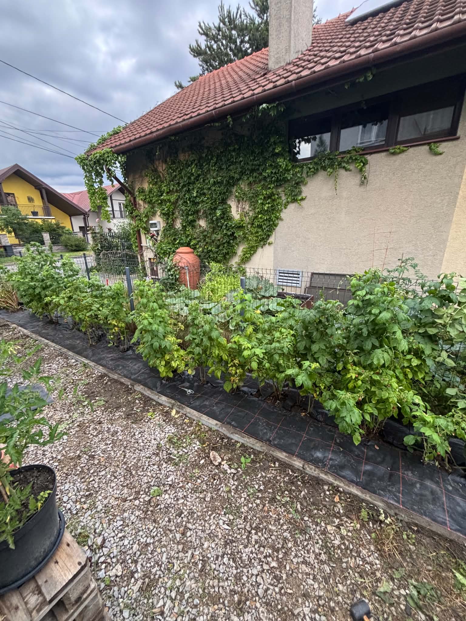 Porządki na posesji — po